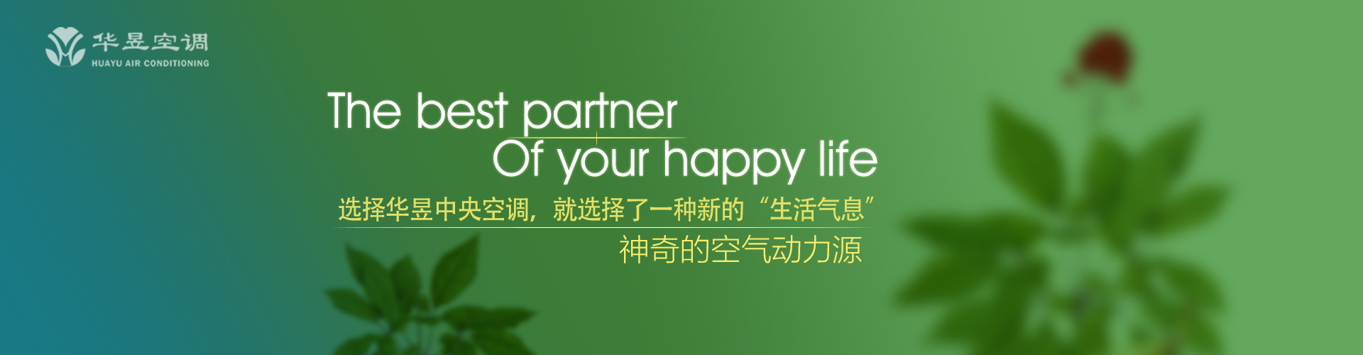 开花结果网
